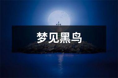 <h3>梦见黑鸟