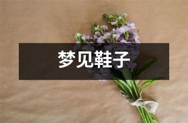 <h3>梦见鞋子
