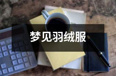 <h3>梦见羽绒服