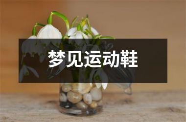 <h3>梦见运动鞋