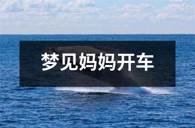 <h3>梦见妈妈开车