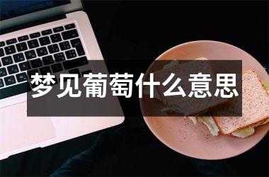 <h3>梦见葡萄什么意思