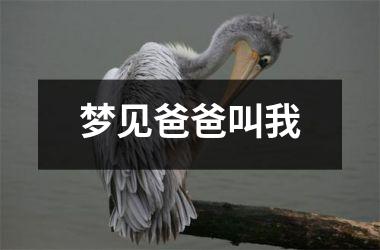 梦见爸爸叫我