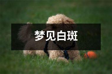 <h3>梦见白斑