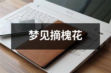 <h3>梦见摘槐花
