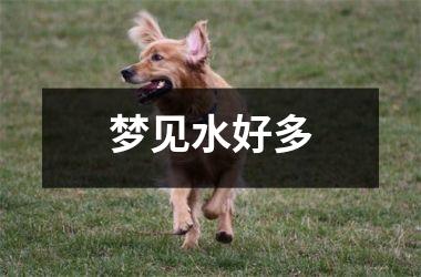<h3>梦见水好多