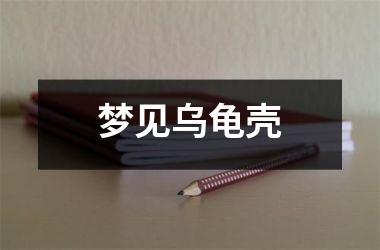 <h3>梦见乌龟壳