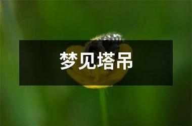 <h3>梦见塔吊
