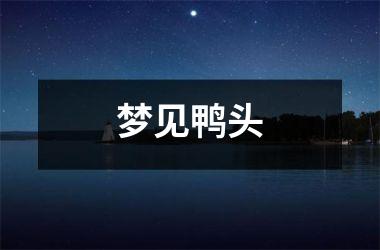 <h3>梦见鸭头