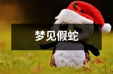 <h3>梦见假蛇