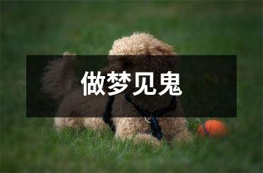 <h3>做梦见鬼