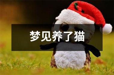 <h3>梦见养了猫