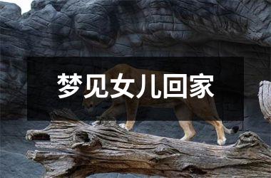 <h3>梦见女儿回家