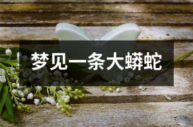<h3>梦见一条大蟒蛇