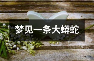 梦见一条大蟒蛇