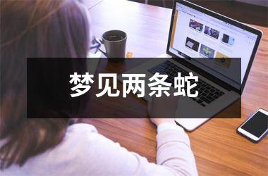 <h3>梦见两条蛇