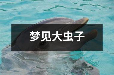 <h3>梦见大虫子