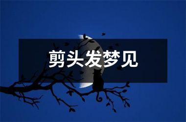 <h3>剪头发梦见