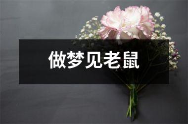 <h3>做梦见老鼠