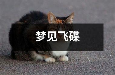 <h3>梦见飞碟
