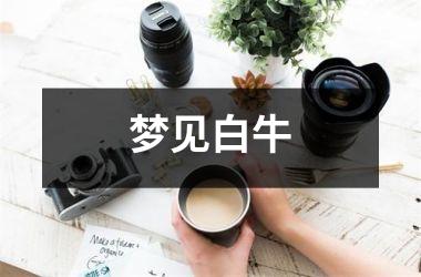 <h3>梦见白牛