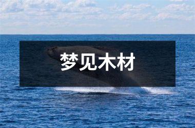 <h3>梦见木材