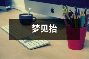 <h3>梦见抬