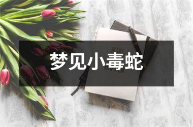 梦见小毒蛇