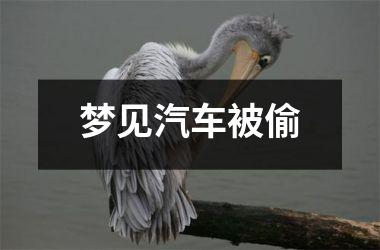 梦见汽车被偷