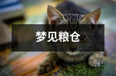 <h3>梦见粮仓