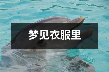 <h3>梦见衣服里