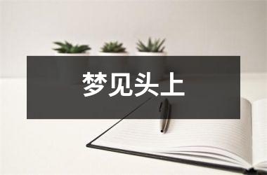 <h3>梦见头上