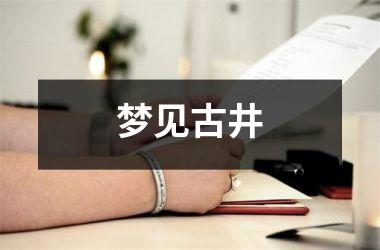 <h3>梦见古井
