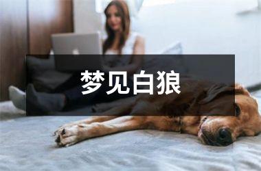 <h3>梦见白狼
