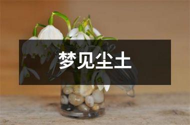 <h3>梦见尘土