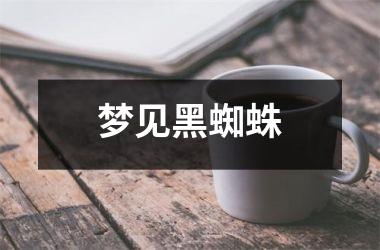 梦见黑蜘蛛