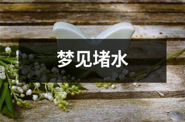 <h3>梦见堵水