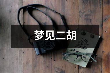<h3>梦见二胡