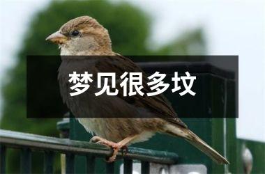 <h3>梦见很多坟