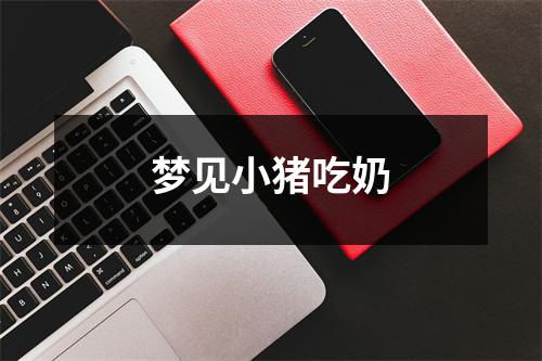 <h3>梦见小猪吃奶