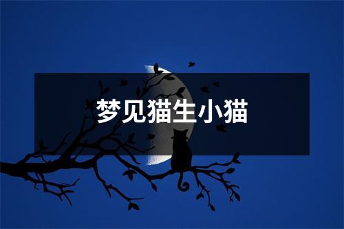 <h3>梦见猫生小猫