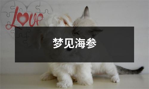 <h3>梦见海参