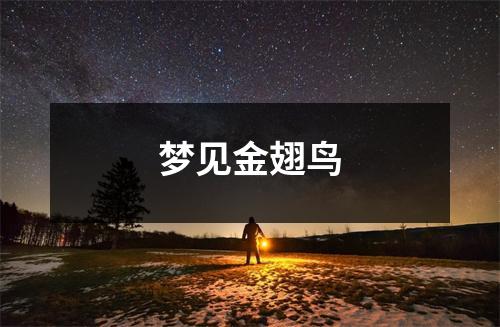 梦见金翅鸟