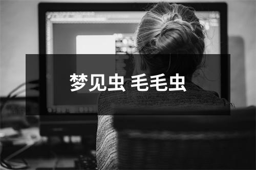 <h3>梦见虫毛毛虫