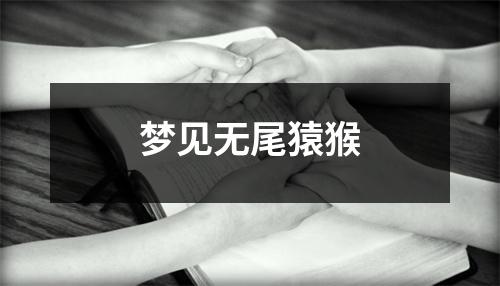 <h3>梦见无尾猿猴