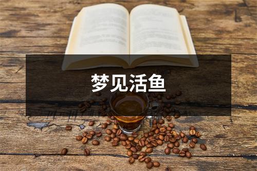 <h3>梦见活鱼