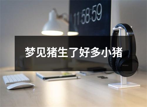 梦见猪生了好多小猪