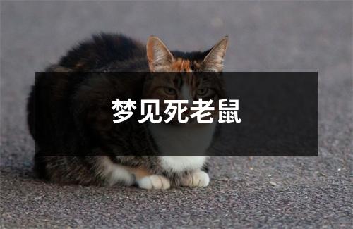 梦见死老鼠