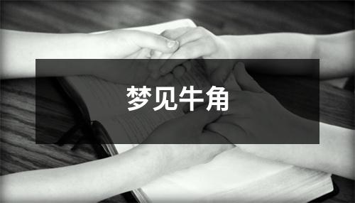 <h3>梦见牛角