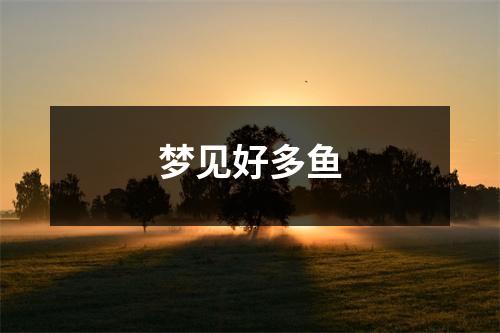<h3>梦见好多鱼